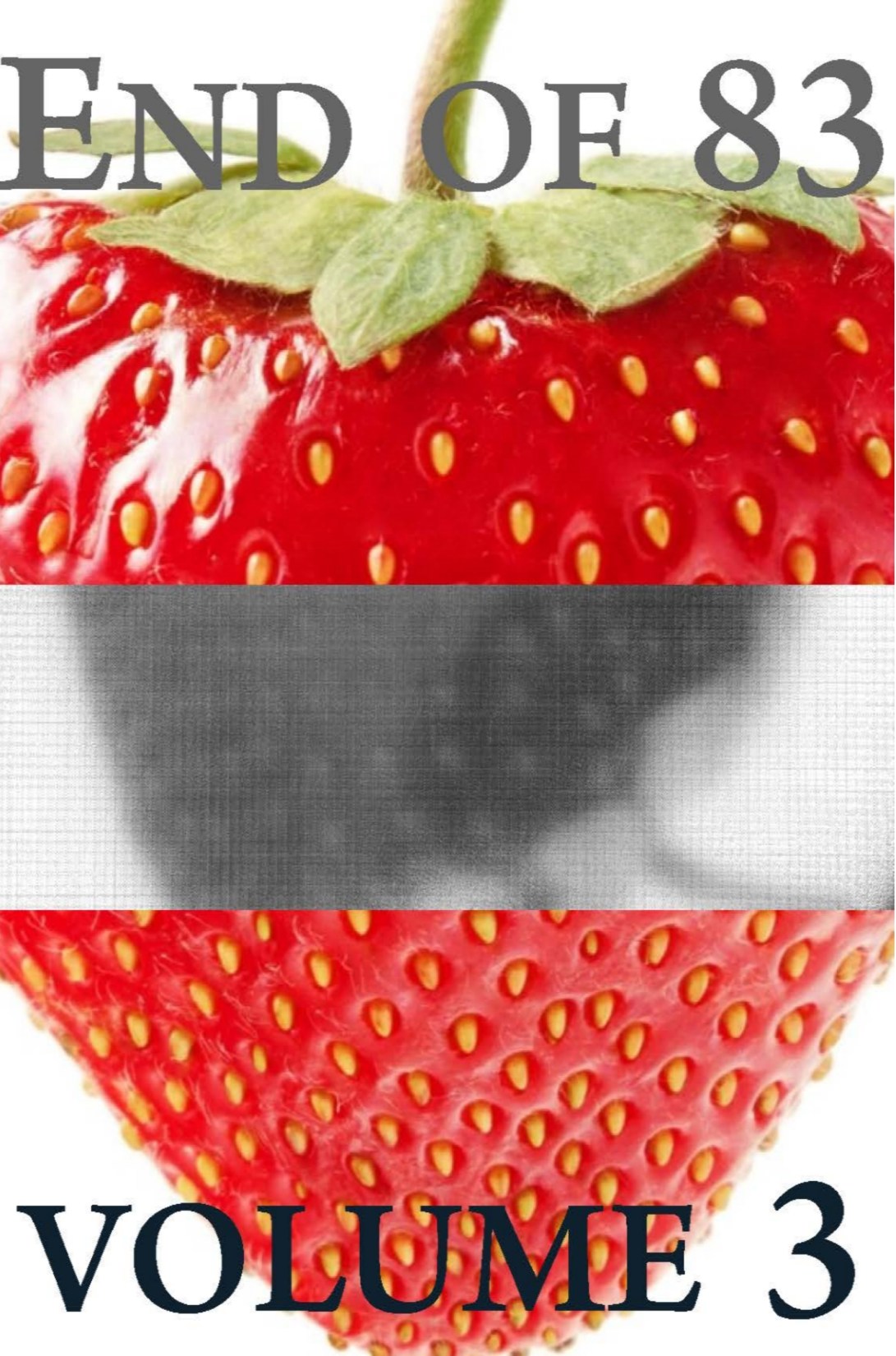 endof83_3_frontcover2.jpg